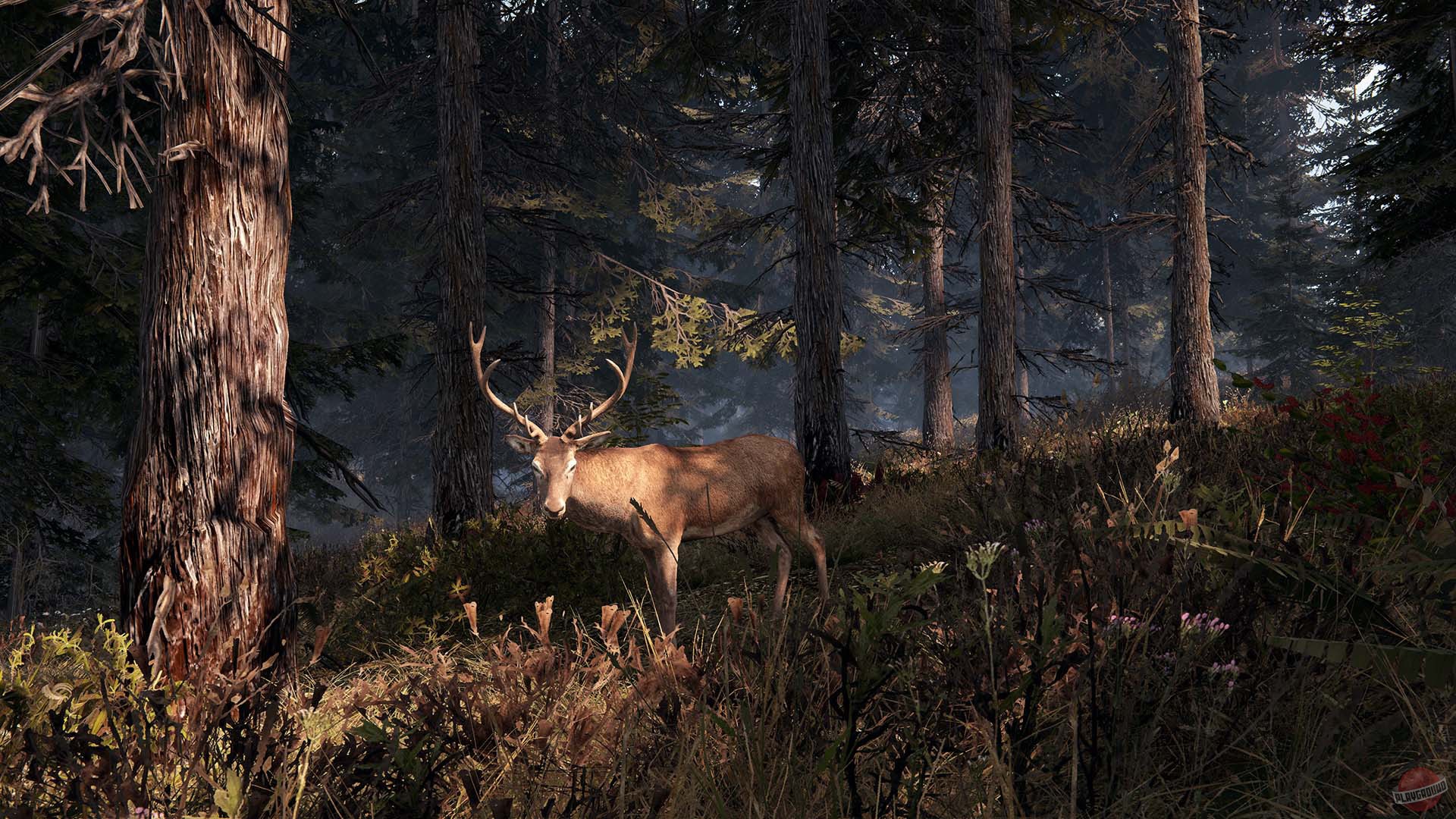 Скриншот из игры This Land Is My Land - 46