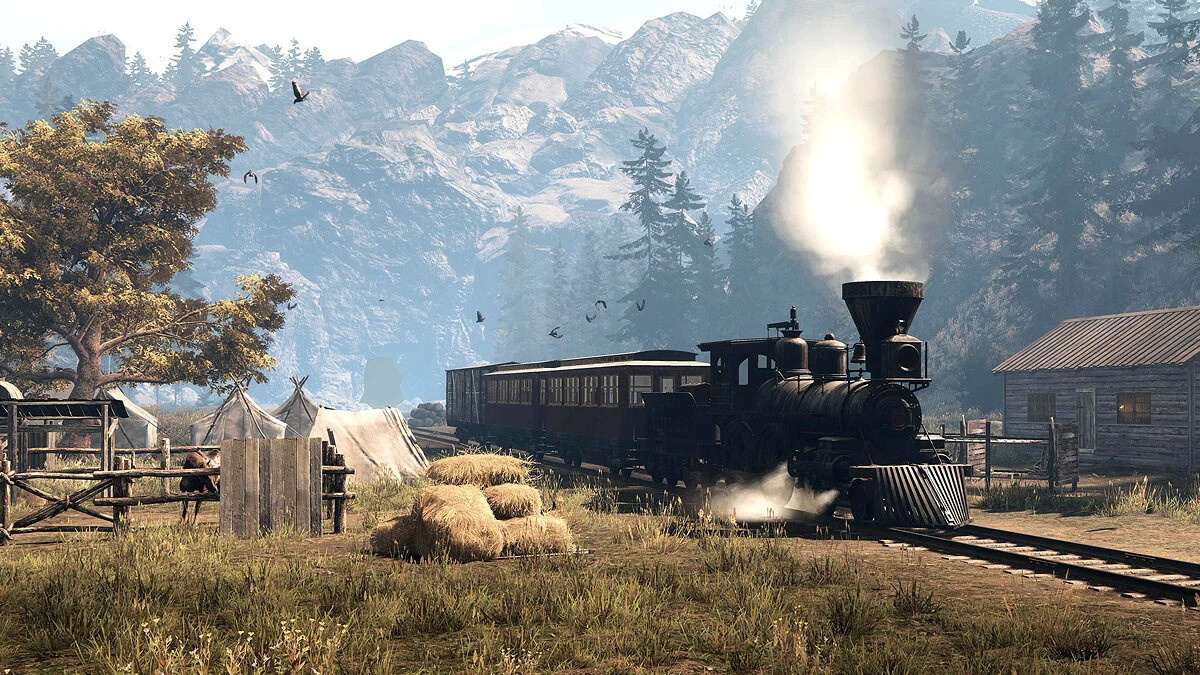 Скриншот из игры This Land Is My Land - 30