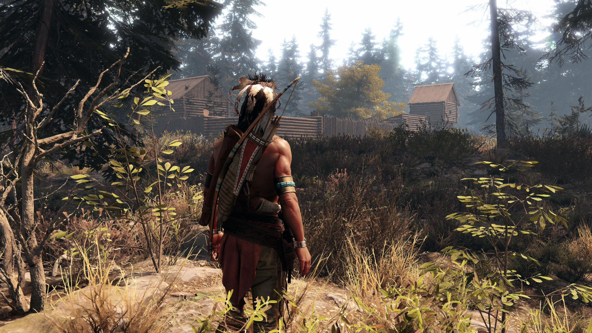 Скриншот из игры This Land Is My Land - 73