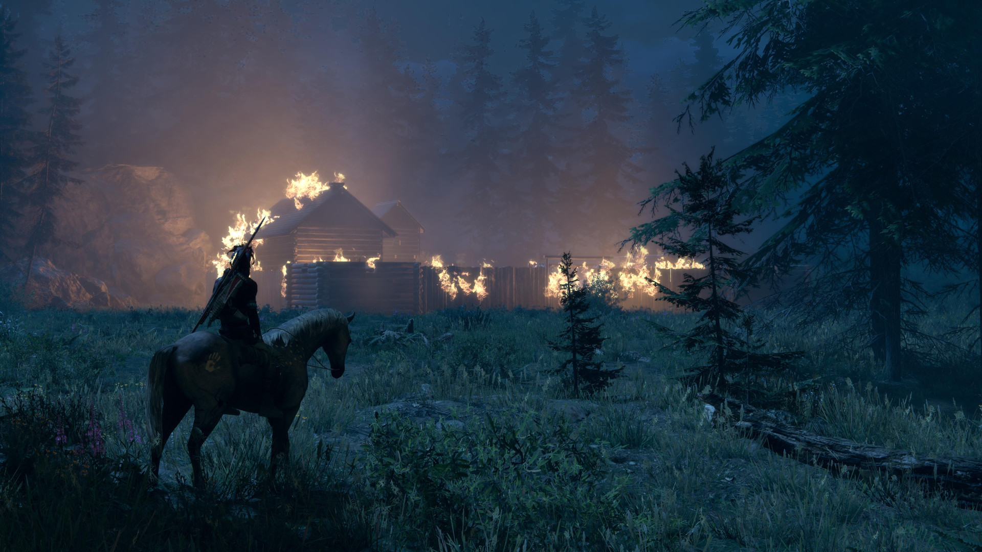 Скриншот из игры This Land Is My Land - 23