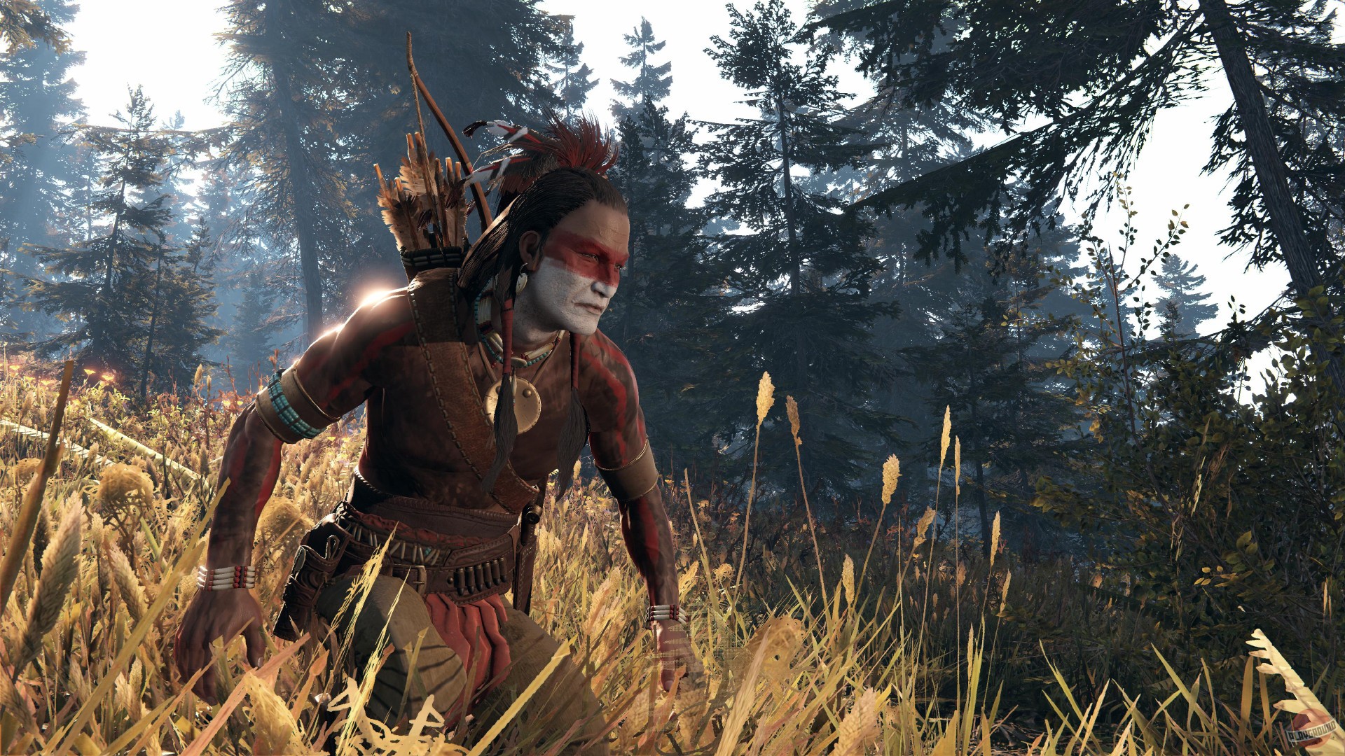 Скриншот из игры This Land Is My Land - 38