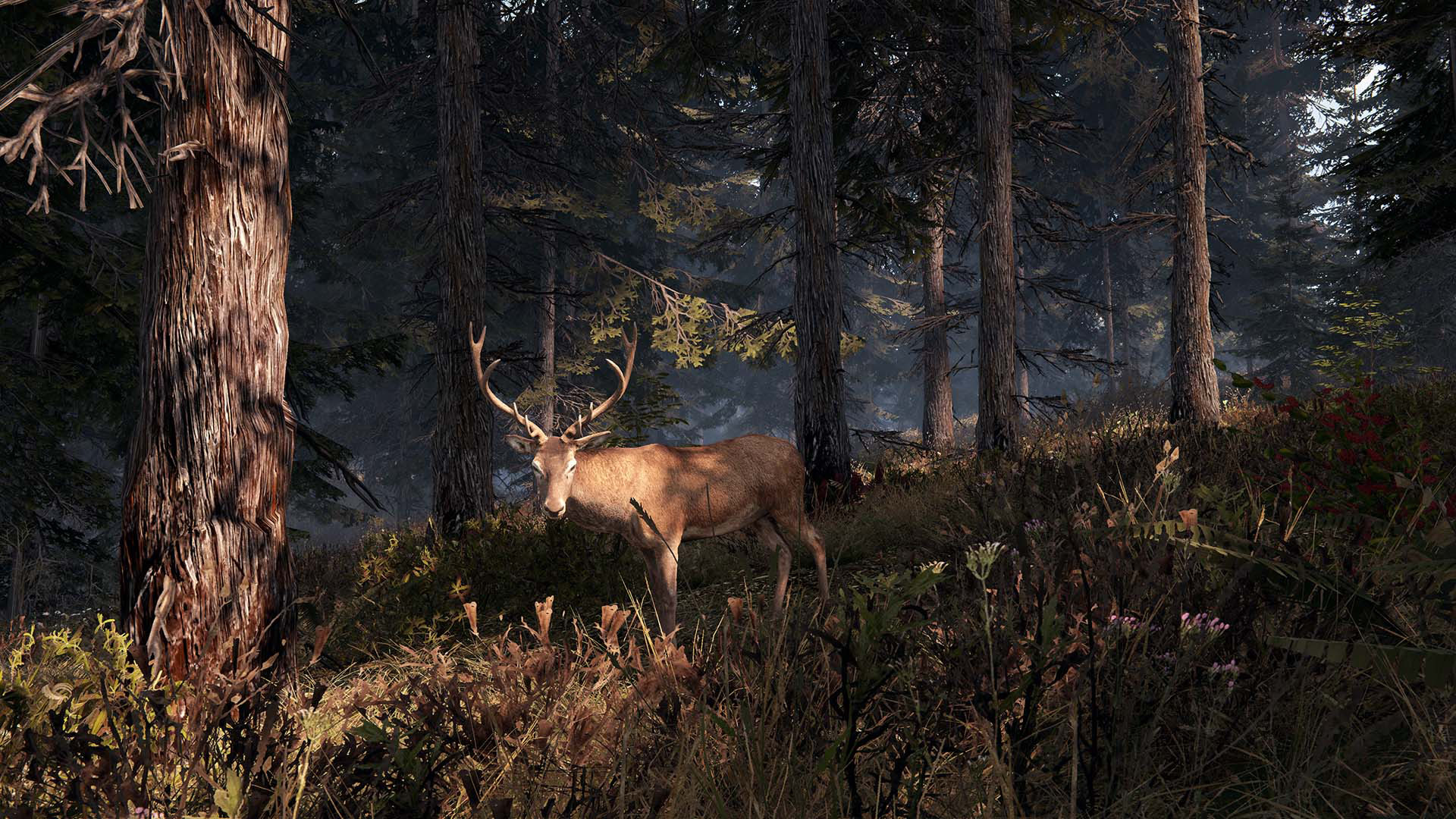 Скриншот из игры This Land Is My Land - 58