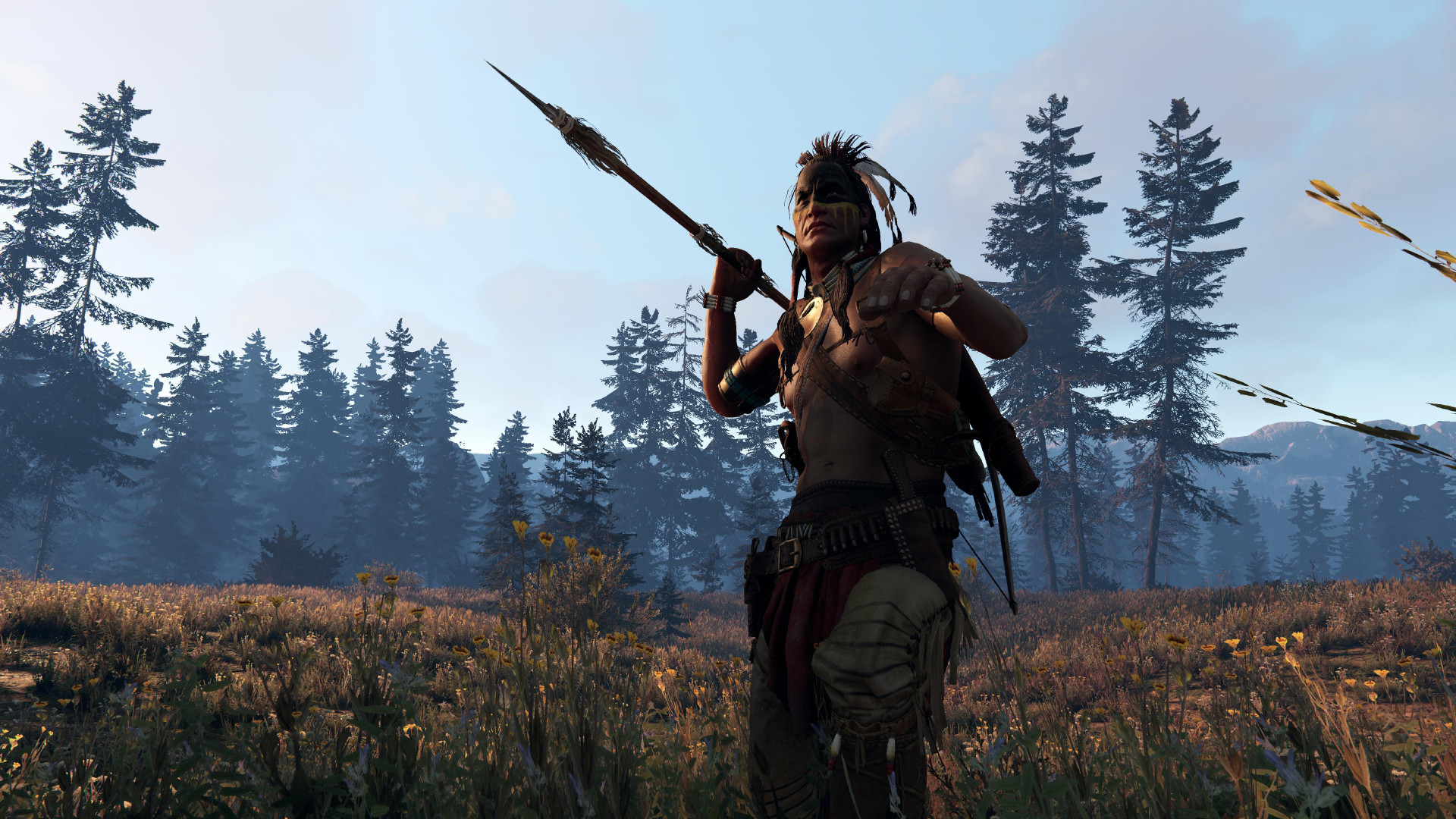 Скриншот из игры This Land Is My Land - 102