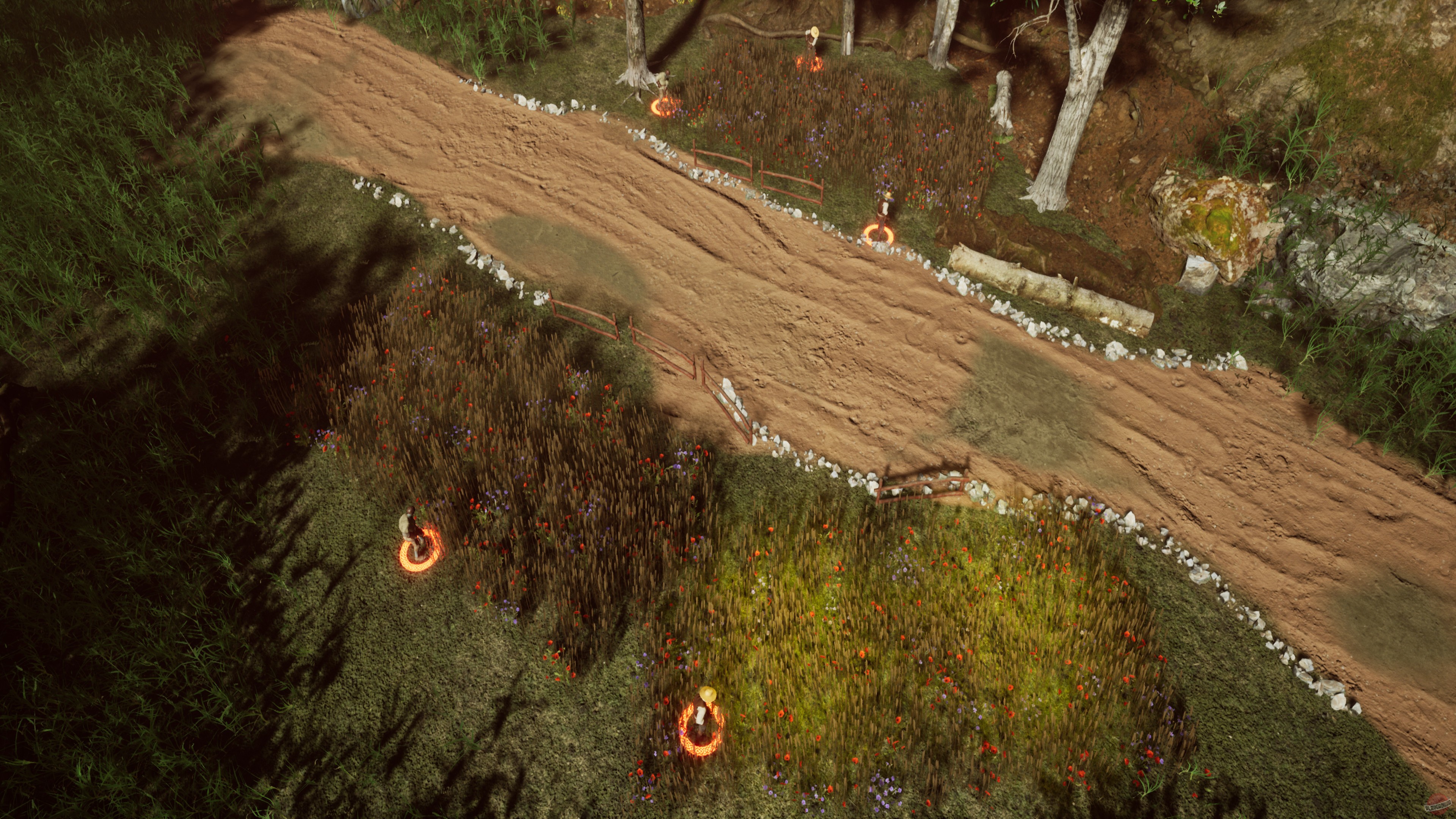 Скриншот из игры Raga - 7