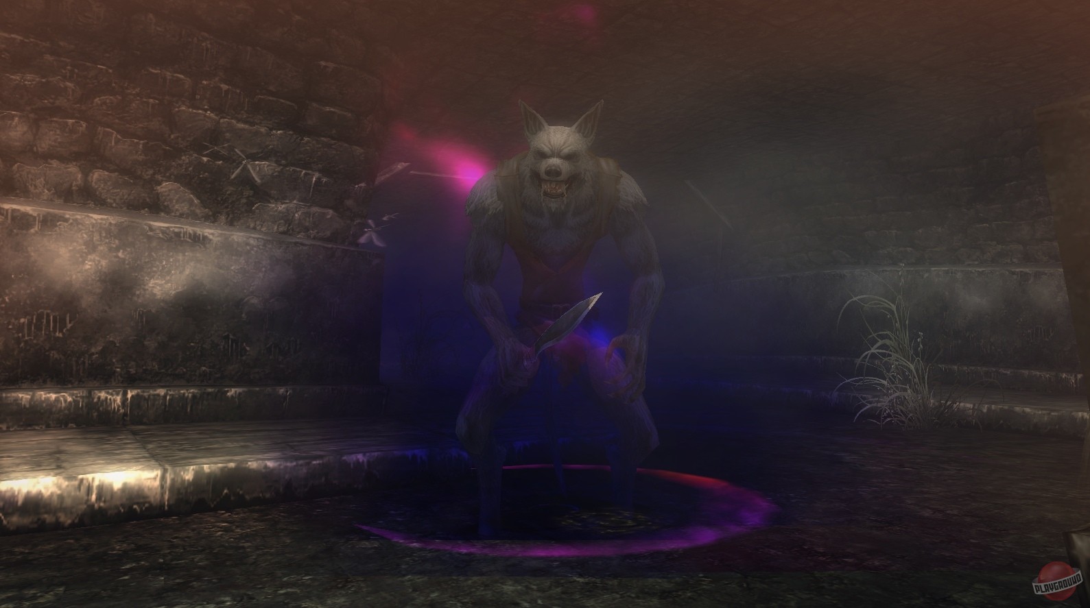 Скриншот из игры Wizardry Online - 22