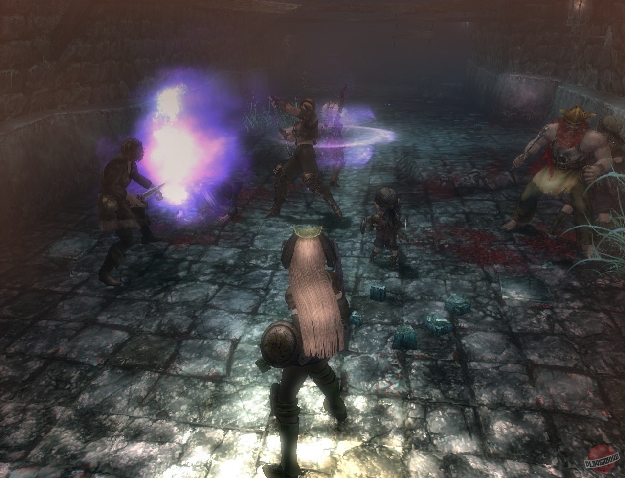 Скриншот из игры Wizardry Online - 12