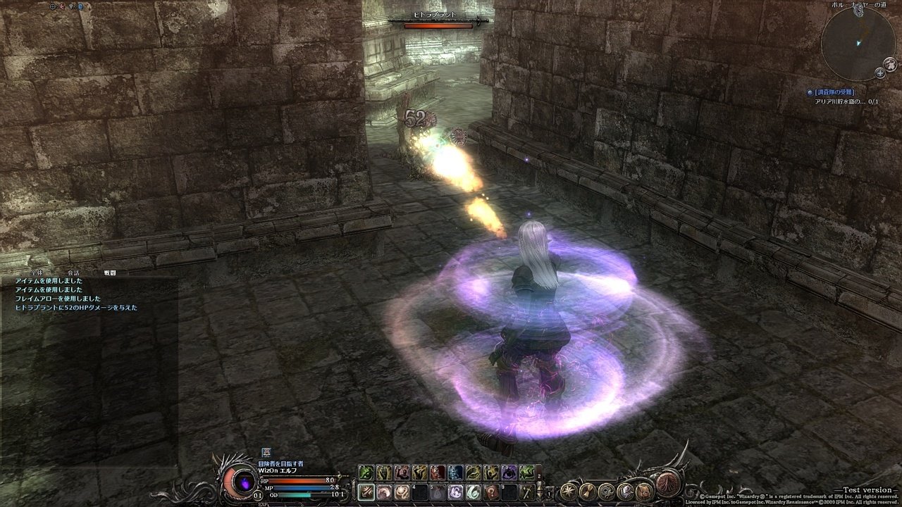 Скриншот из игры Wizardry Online - 25