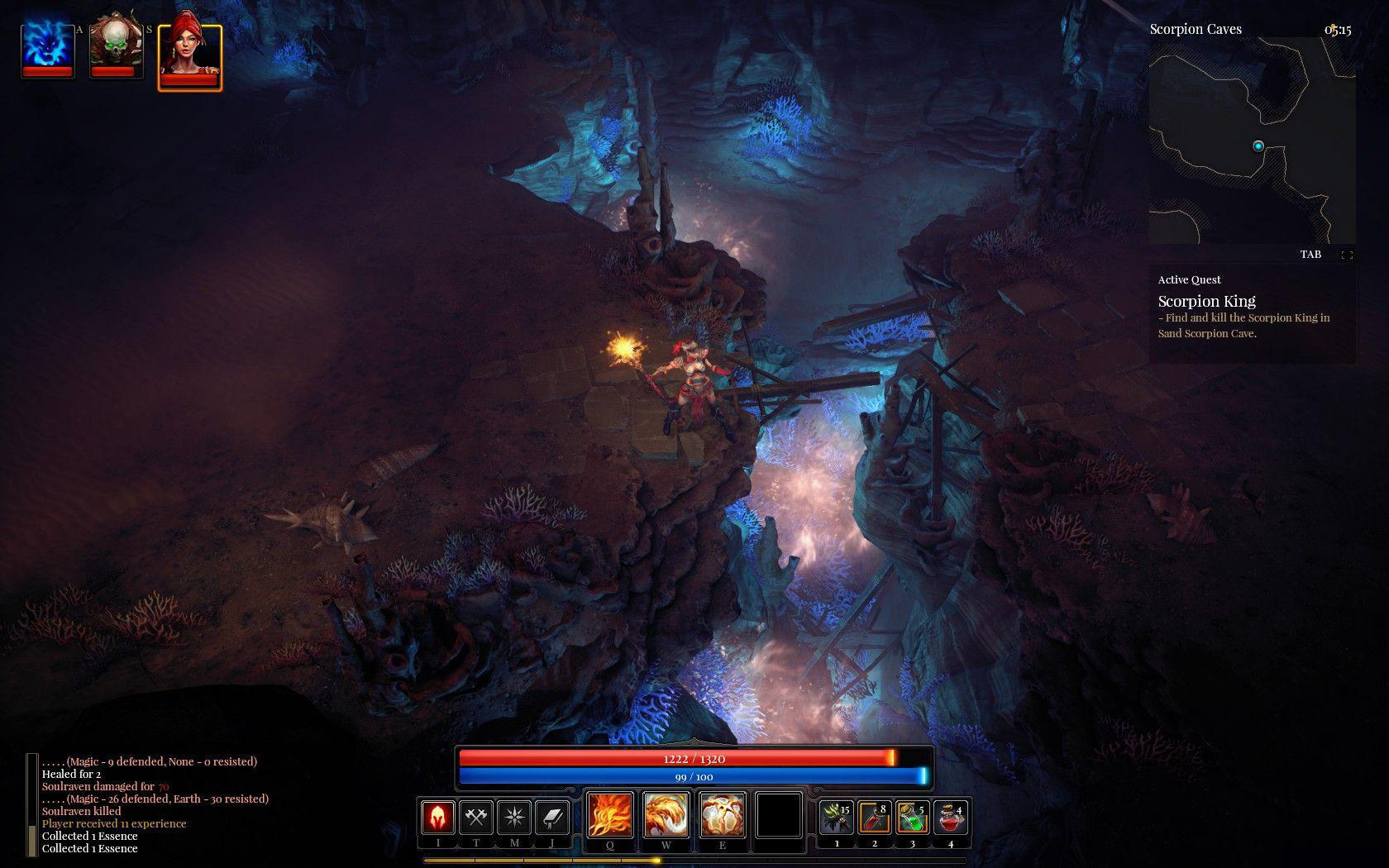 Скриншот из игры Shadows: Heretic Kingdoms - 12