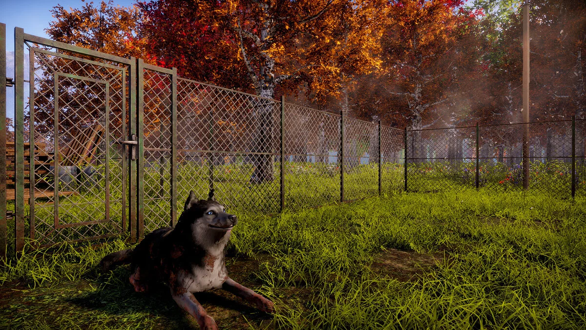 Скриншот из игры Animal Shelter 2 - 17