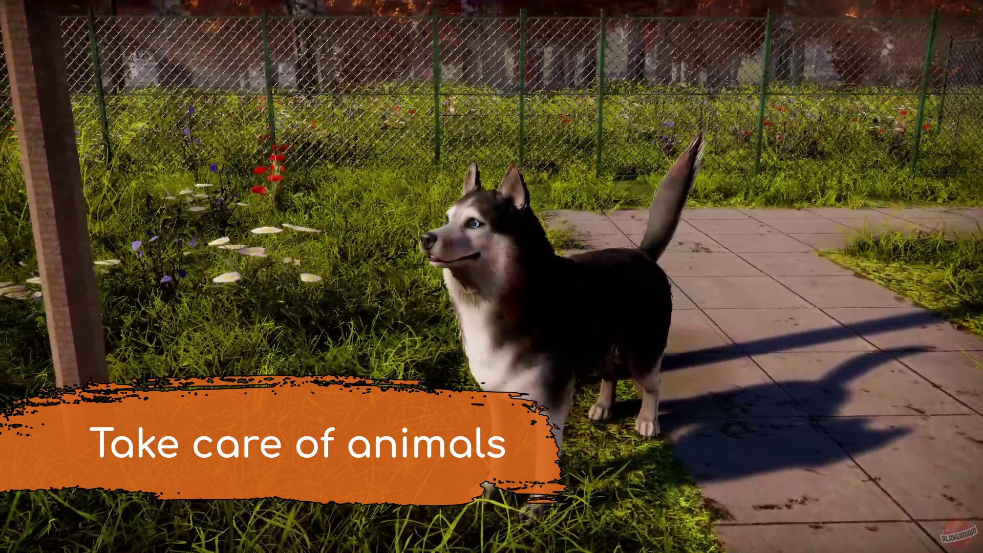 Скриншот из игры Animal Shelter 2 - 25