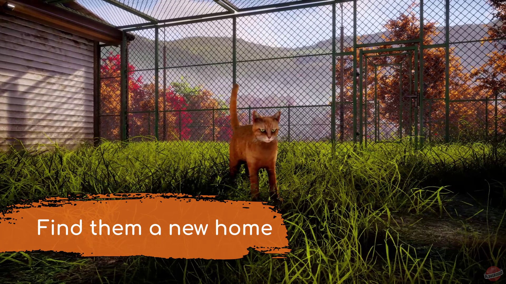 Скриншот из игры Animal Shelter 2 - 27