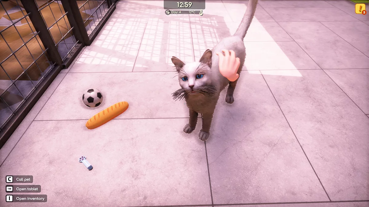 Скриншот из игры Animal Shelter 2 - 7