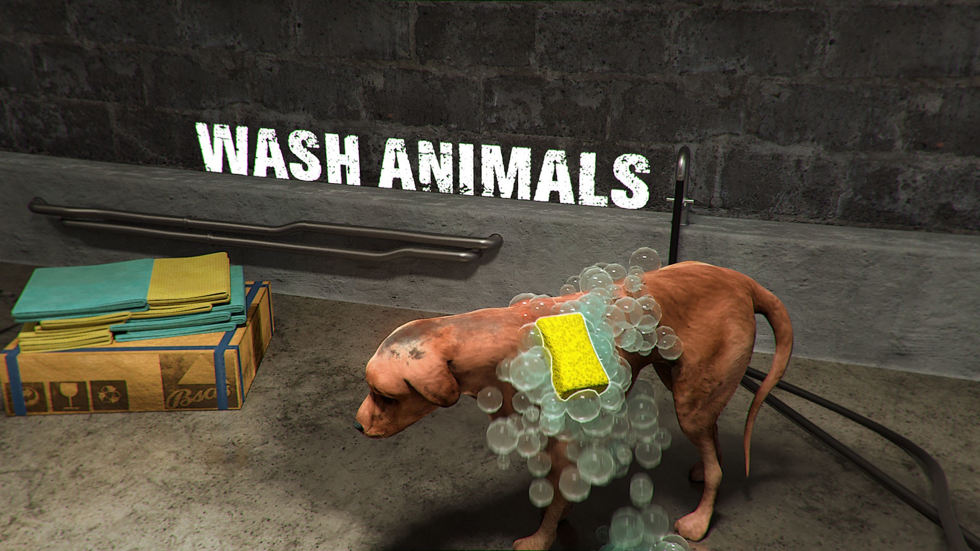 Скриншот из игры Animal Shelter - 5