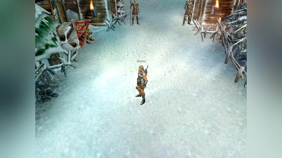 Скриншот из игры Cabal Online - 23