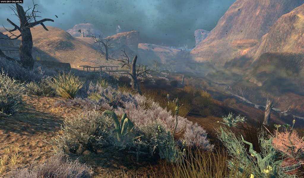 Скриншот из игры Grimlands - 37