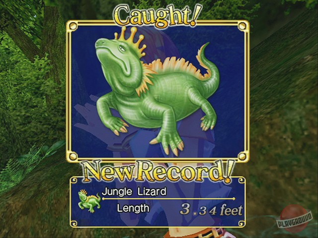 Скриншот из игры One Piece: Unlimited Adventure - 11