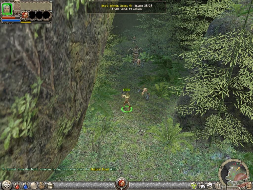 Скриншот из игры Dungeon Siege 2 - 12