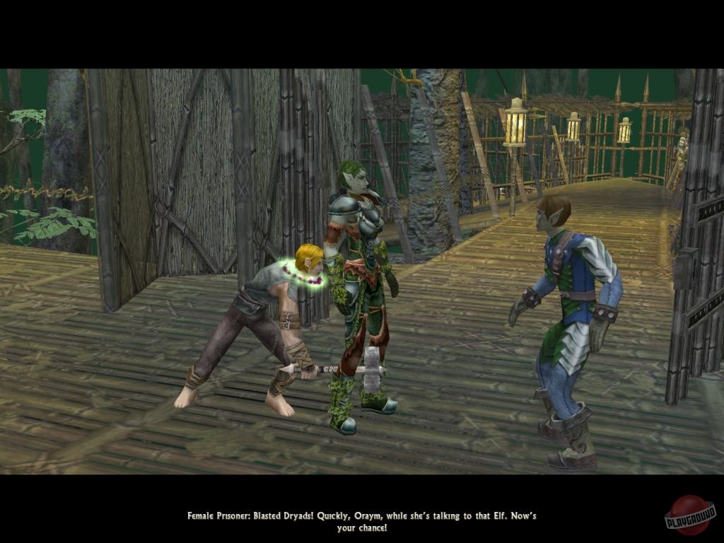 Скриншот из игры Dungeon Siege 2 - 64
