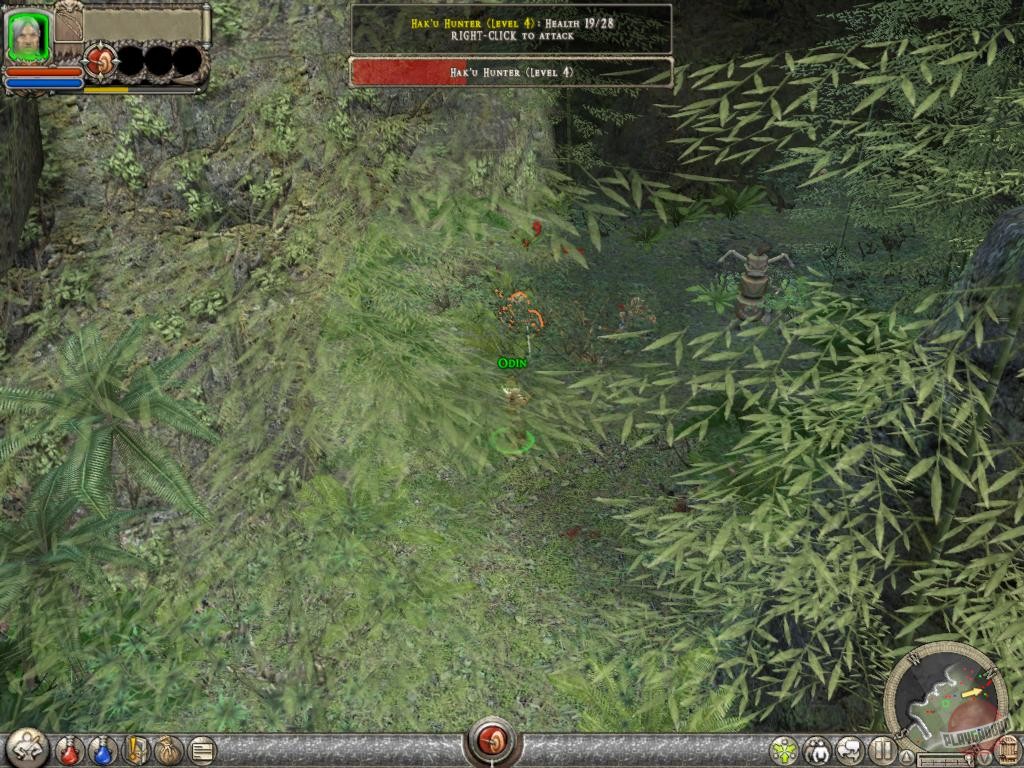 Скриншот из игры Dungeon Siege 2 - 14