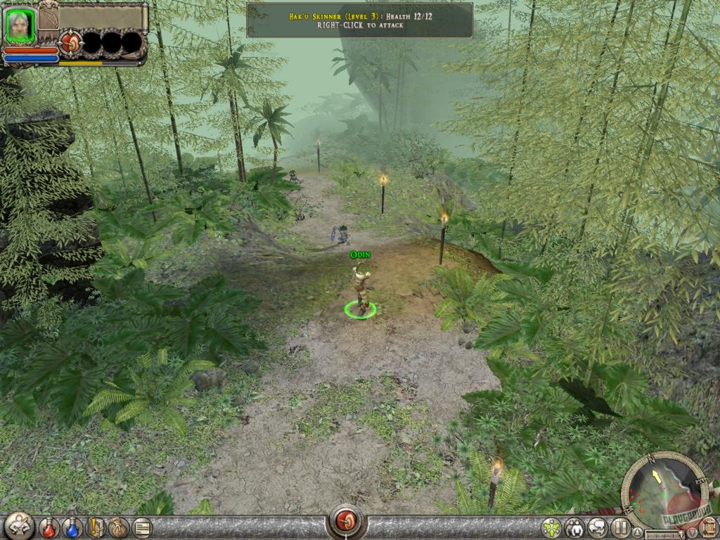 Скриншот из игры Dungeon Siege 2 - 23
