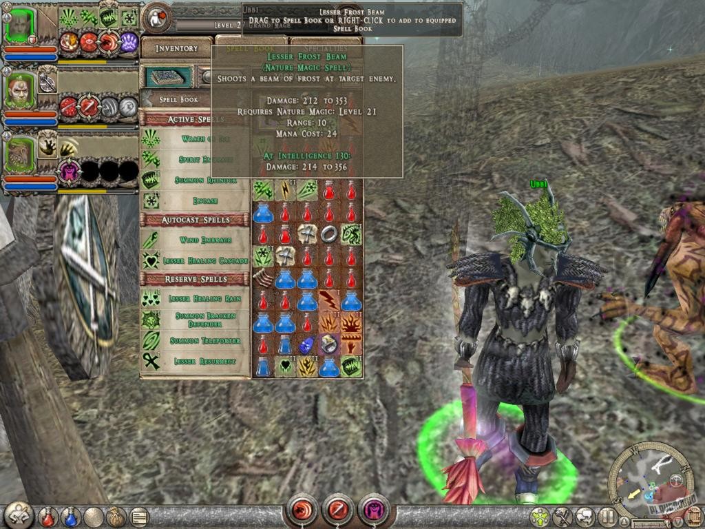 Скриншот из игры Dungeon Siege 2 - 43