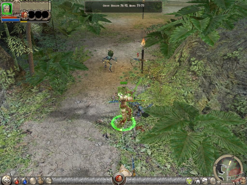 Скриншот из игры Dungeon Siege 2 - 53
