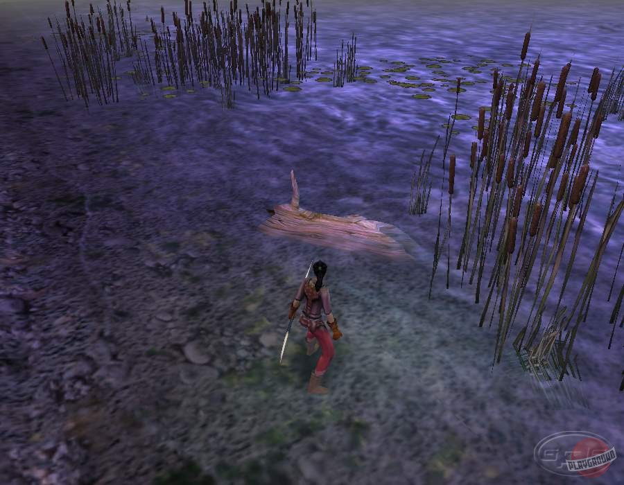 Скриншот из игры Dungeon Siege - 79