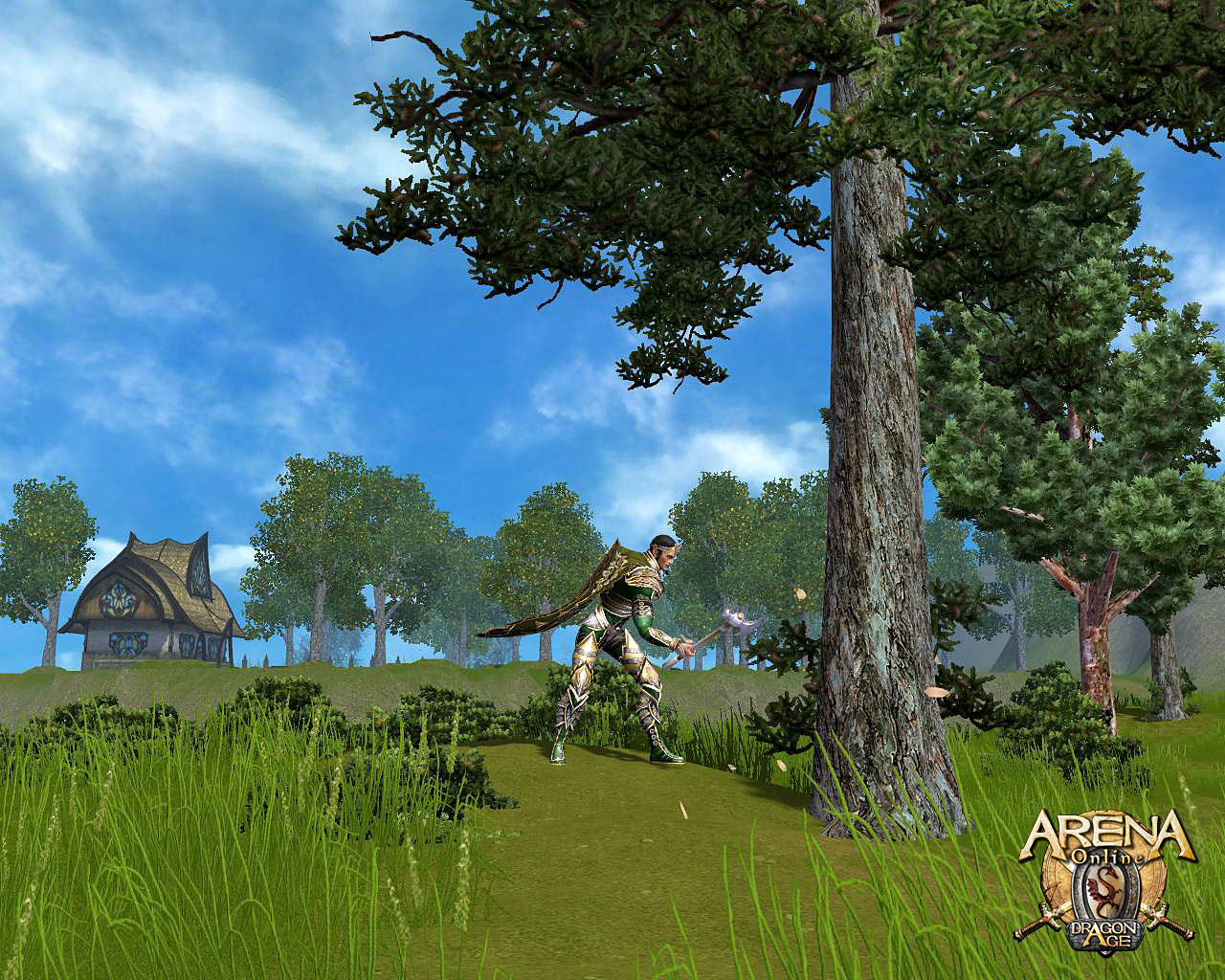 Скриншот из игры ARENA Online - 47