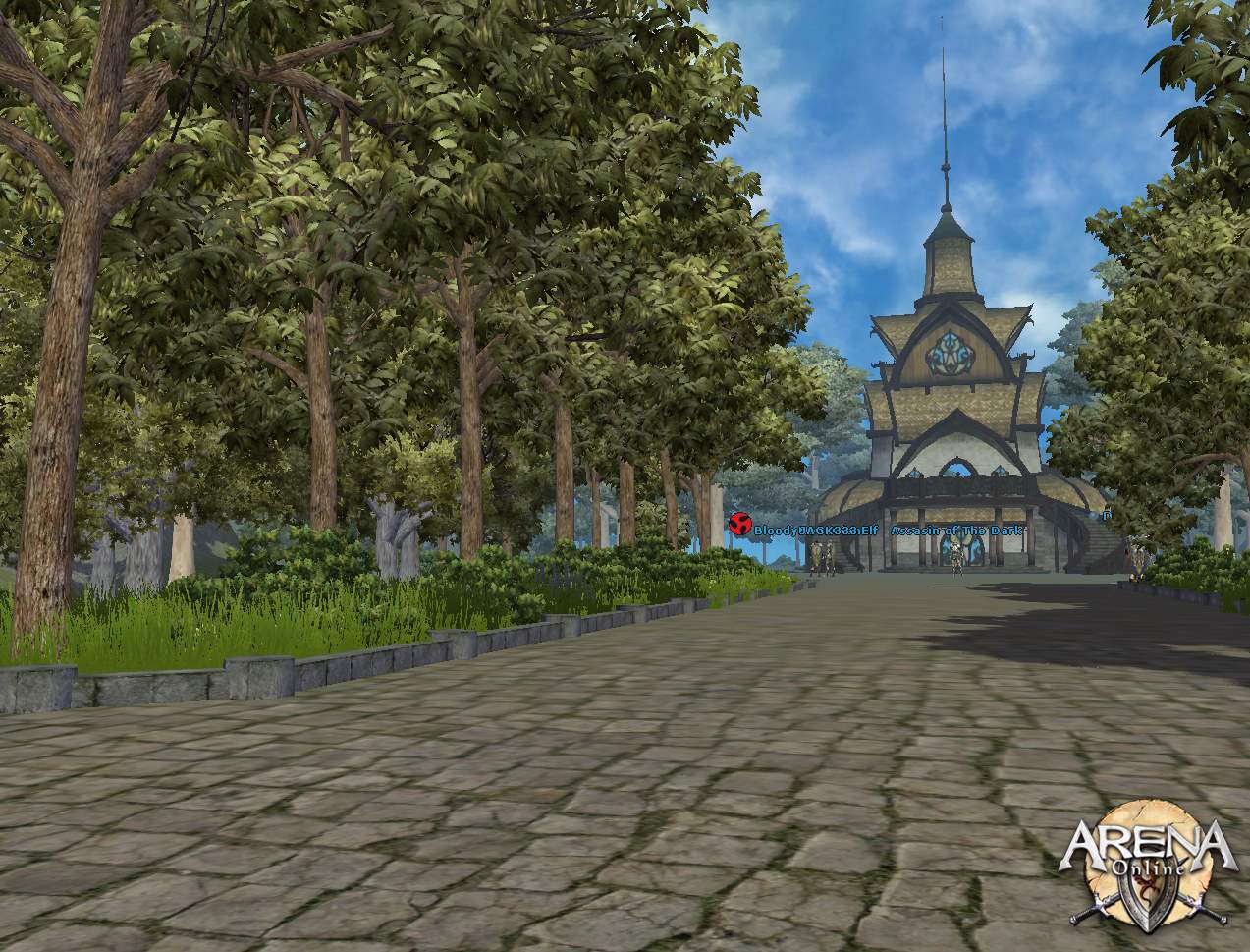 Скриншот из игры ARENA Online - 40