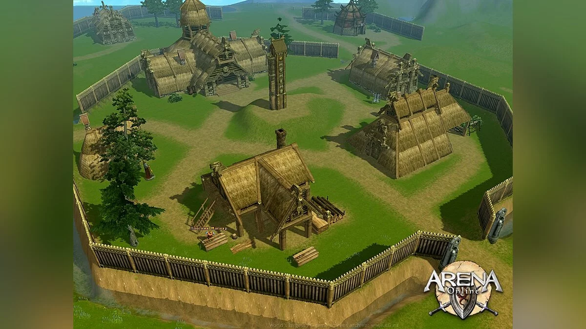 Скриншот из игры ARENA Online - 13