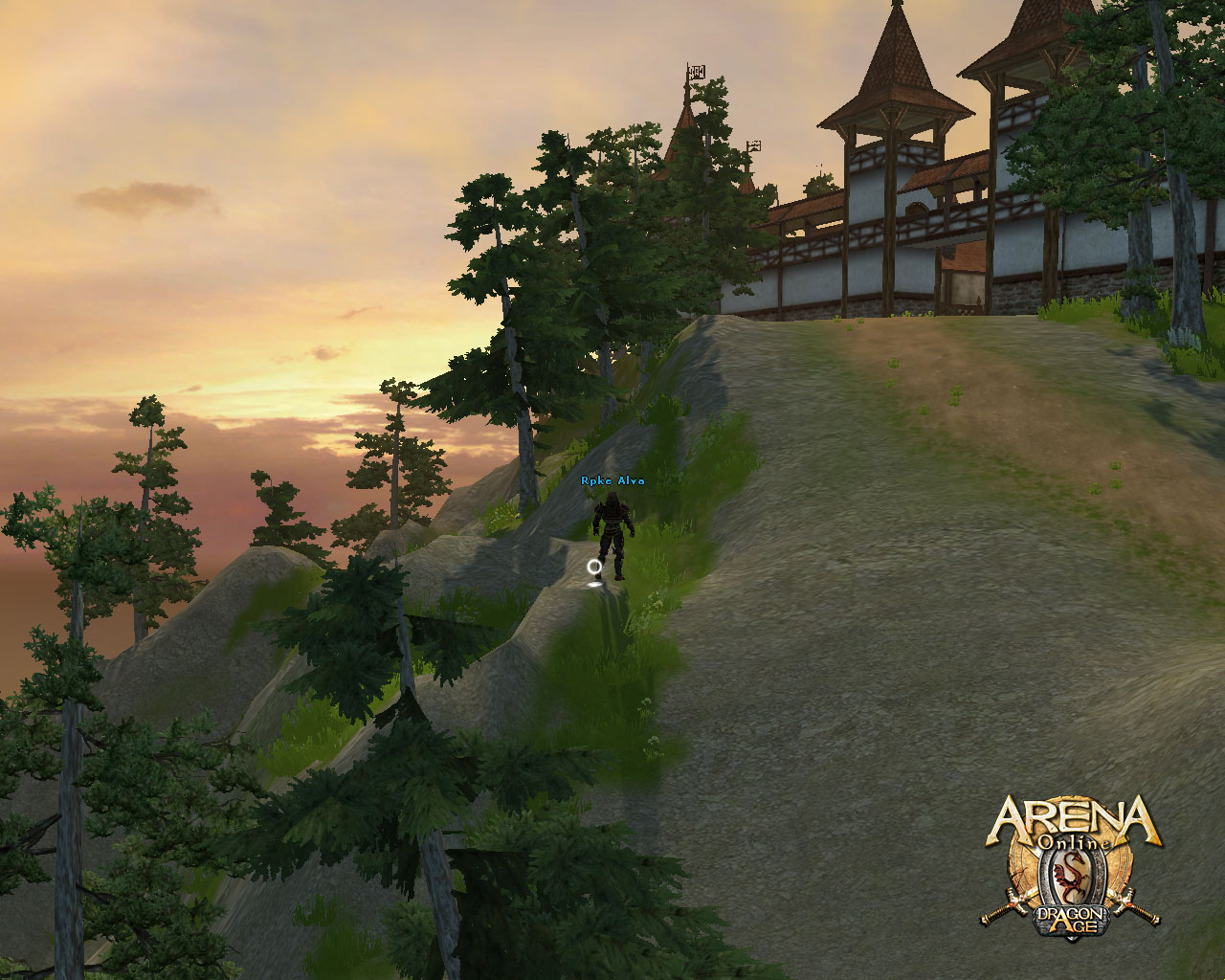 Скриншот из игры ARENA Online - 63