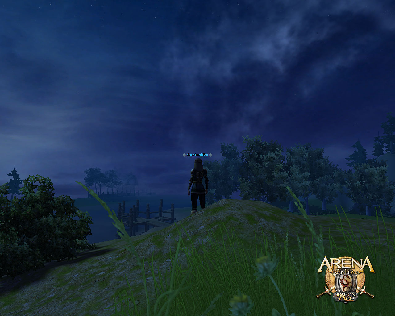 Скриншот из игры ARENA Online - 46