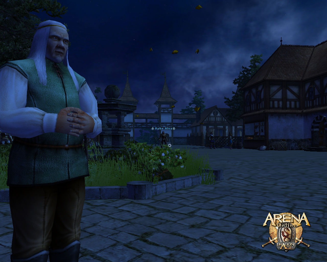 Скриншот из игры ARENA Online - 14