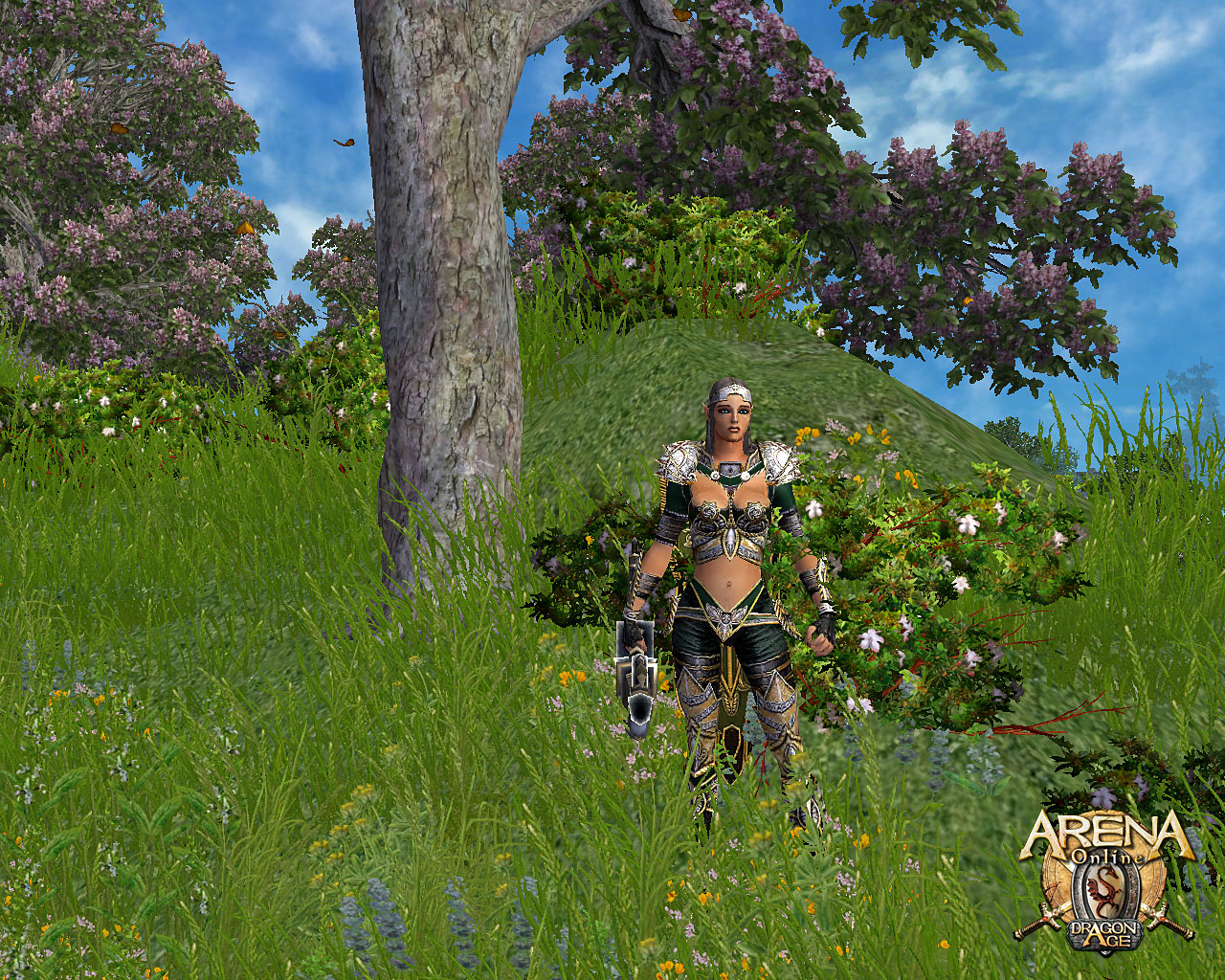 Скриншот из игры ARENA Online - 5