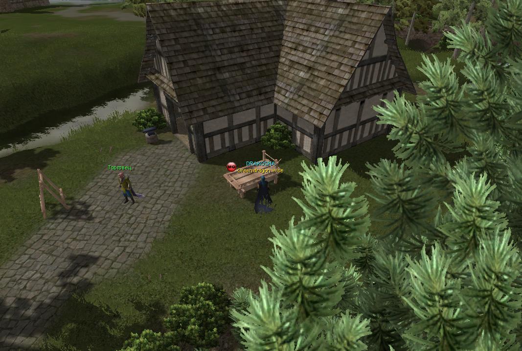 Скриншот из игры ARENA Online - 30