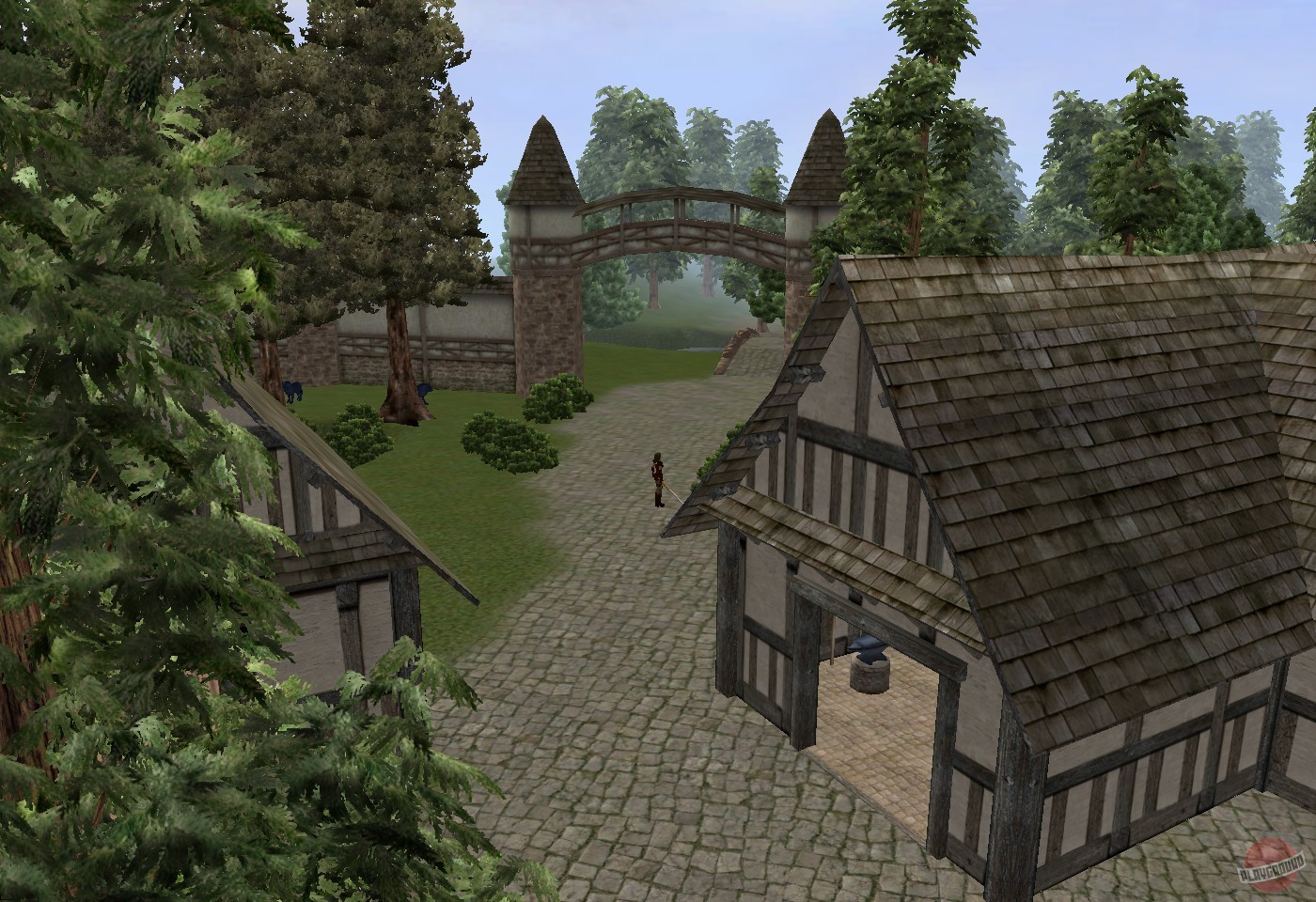 Скриншот из игры ARENA Online - 20