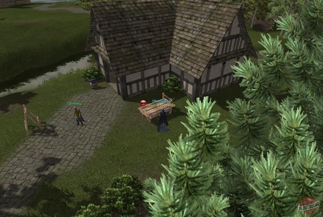 Скриншот из игры ARENA Online - 17