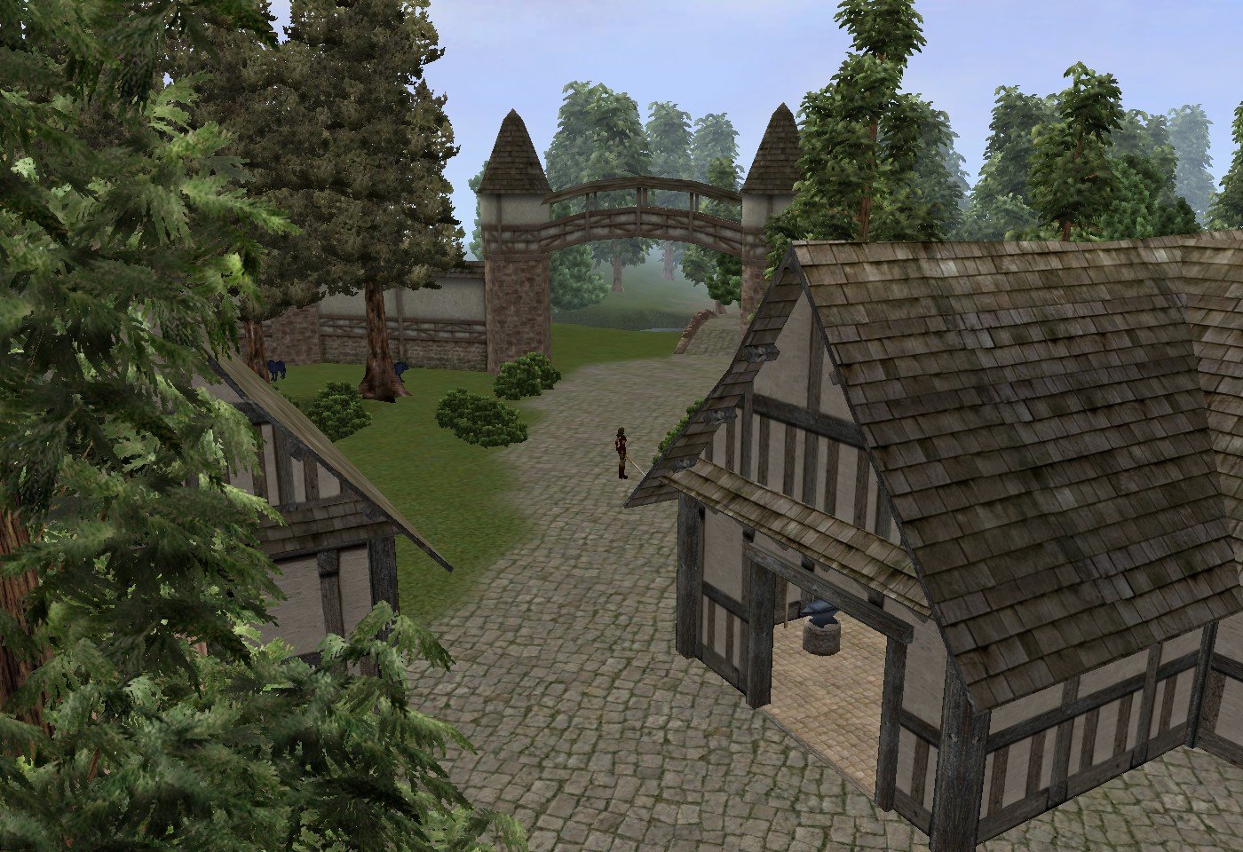 Скриншот из игры ARENA Online - 35