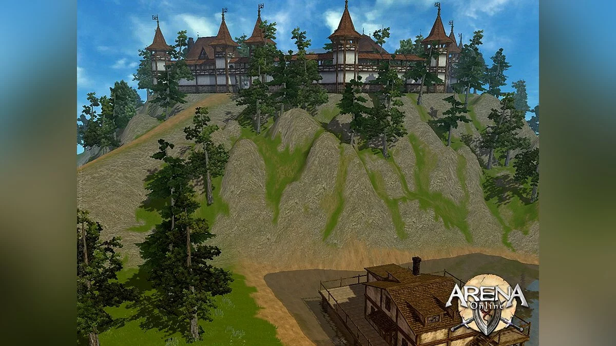 Скриншот из игры ARENA Online - 6