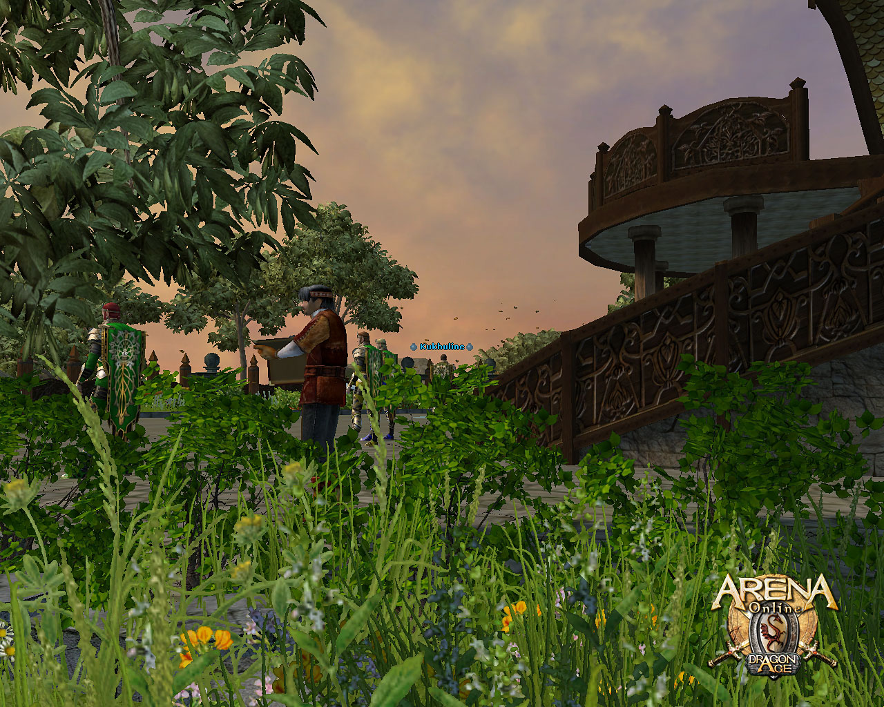 Скриншот из игры ARENA Online - 61