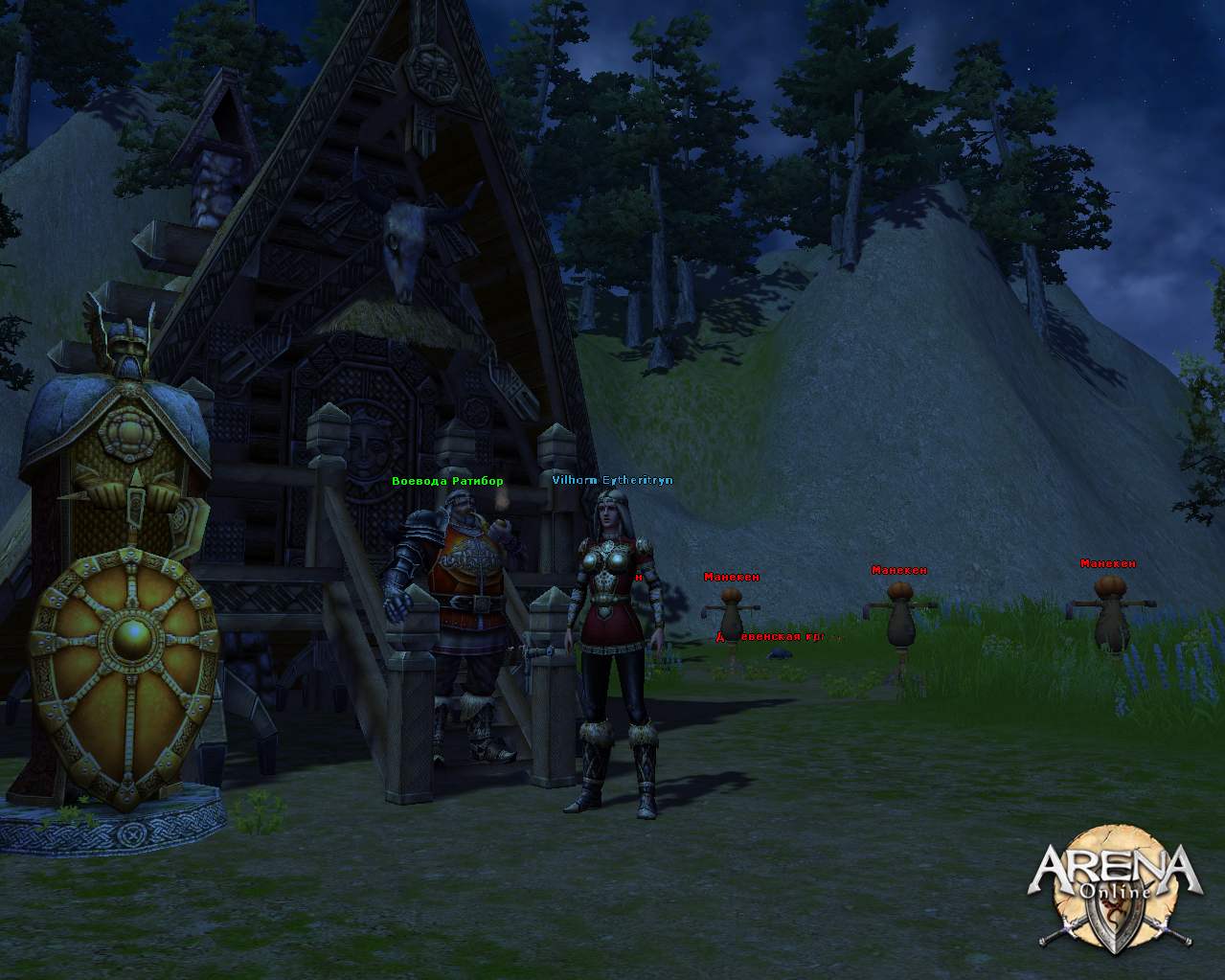 Скриншот из игры ARENA Online - 25