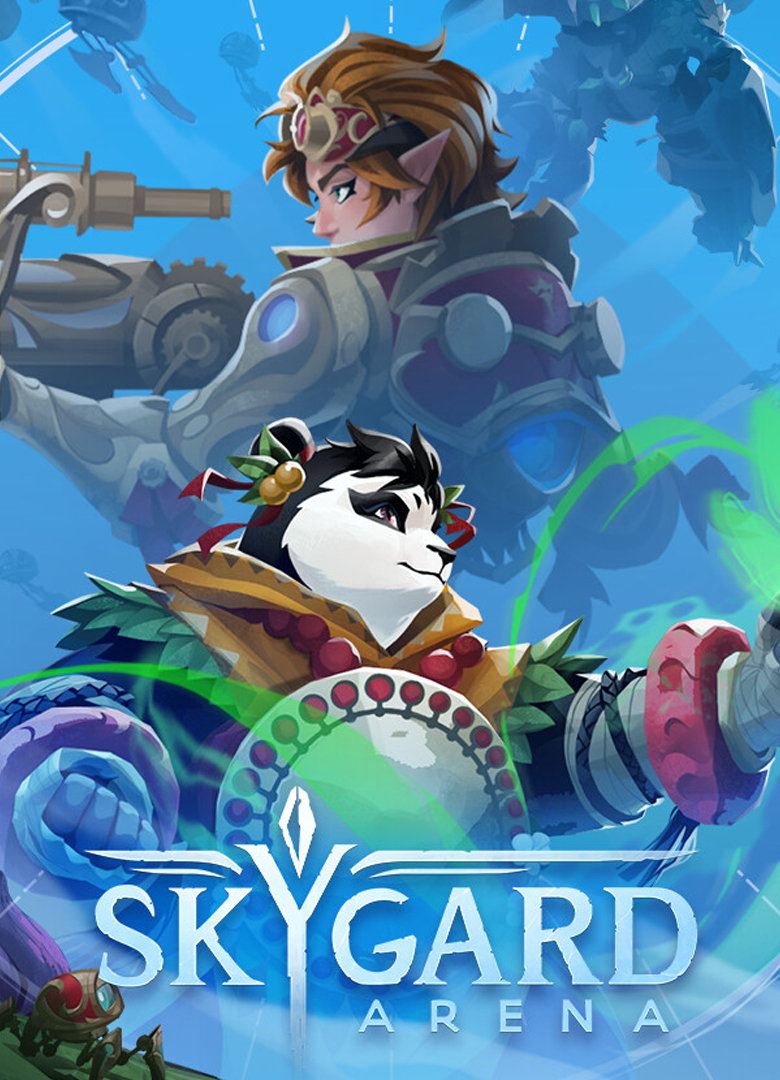 Обложка игры Skygard Arena