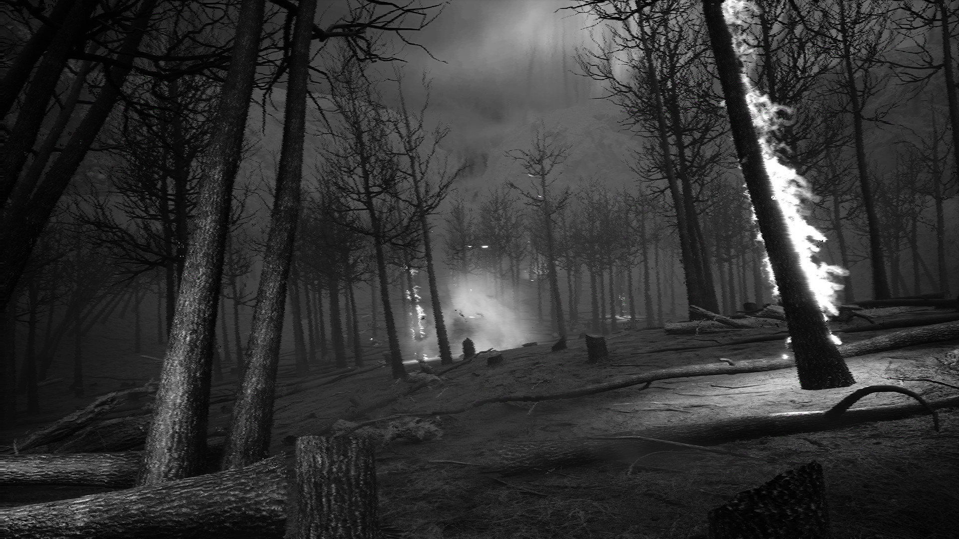 Скриншот из игры What Happened - 27