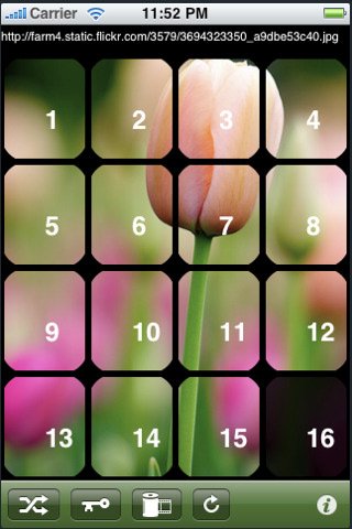 Скриншот из игры Abundant Puzzles: Nature - 1