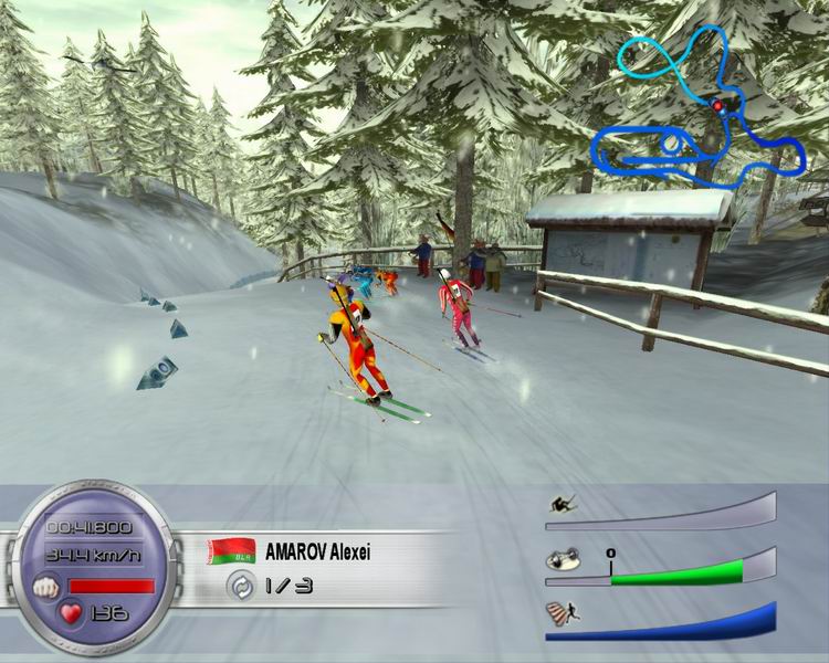 Скриншот из игры Biathlon 2006: Go for Gold - 11