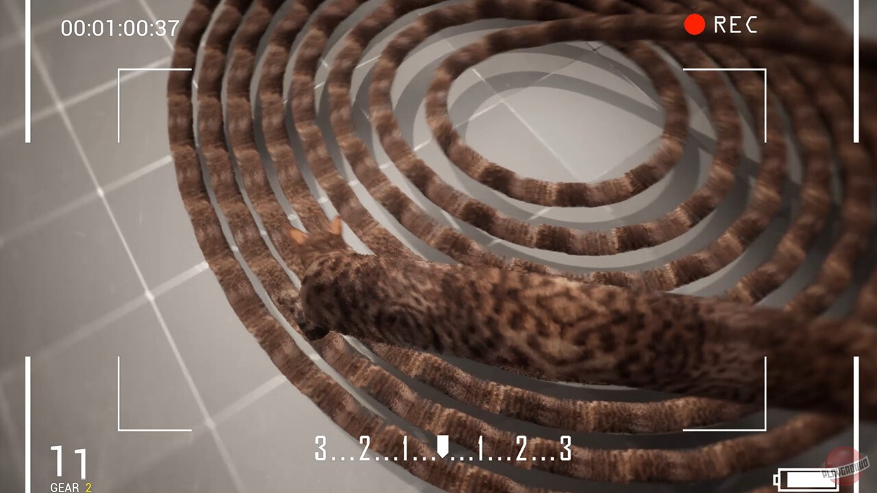 Скриншот из игры Cat Drift - 2