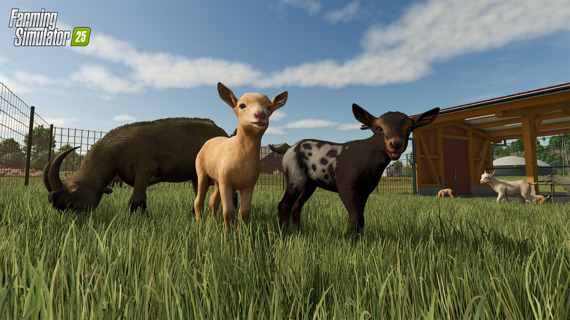 Скриншот из игры Farming Simulator 25 - 52