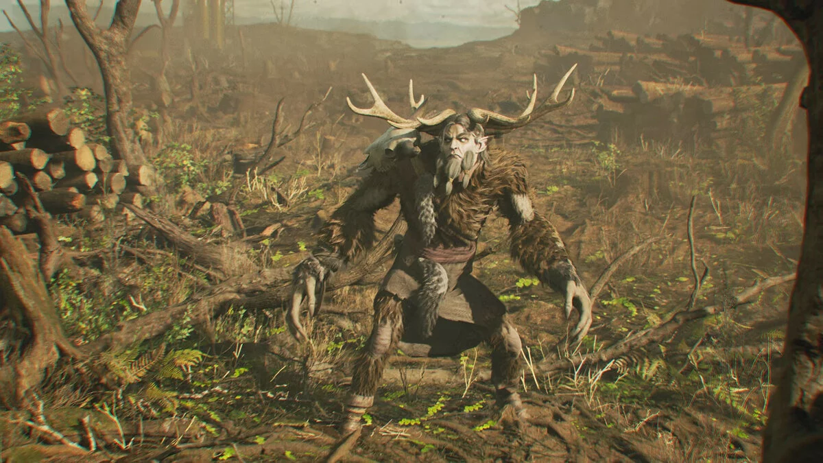 Скриншот из игры Leshy - 21