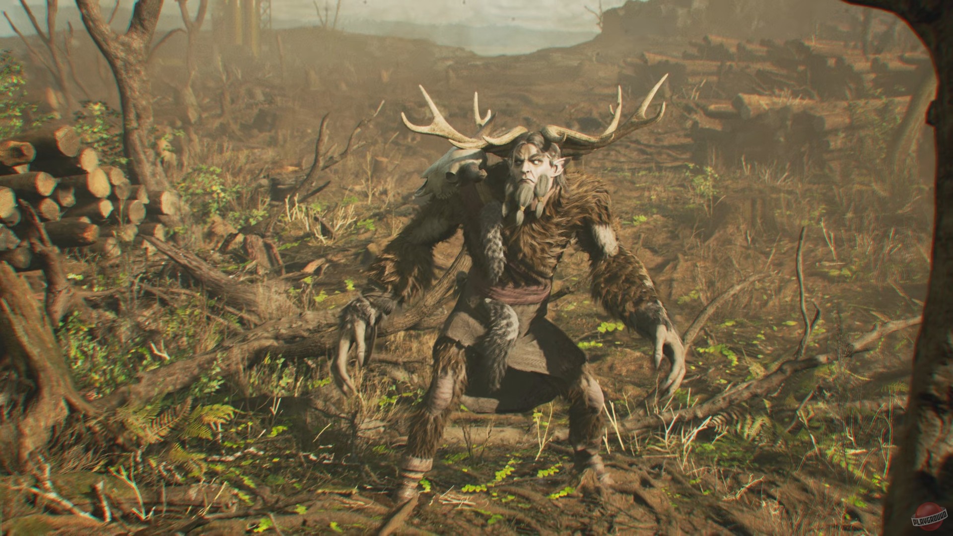 Скриншот из игры Leshy - 16