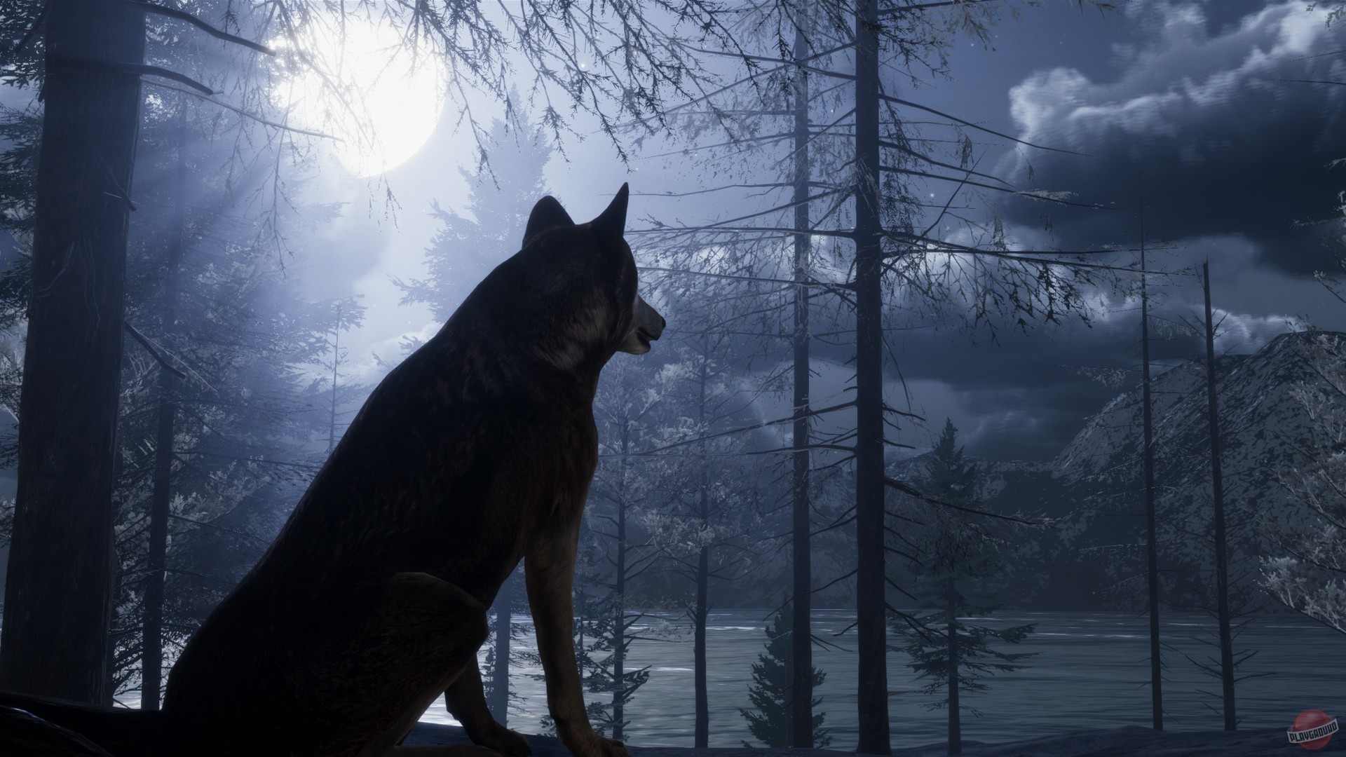 Скриншот из игры The WILDS - 5